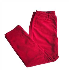 Talbots High Rise Straight Leg Pants Size 16P